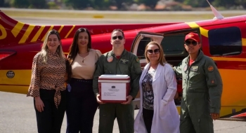 HGG realiza 1º transplante de pâncreas